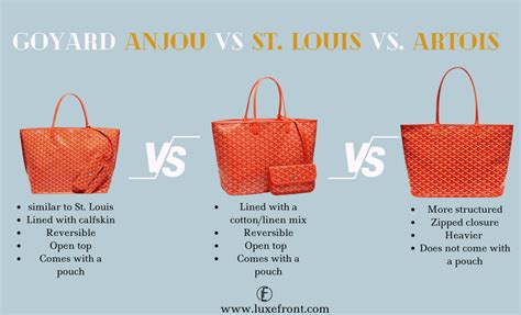 goyard vs longchamp|st louis goyard bag.